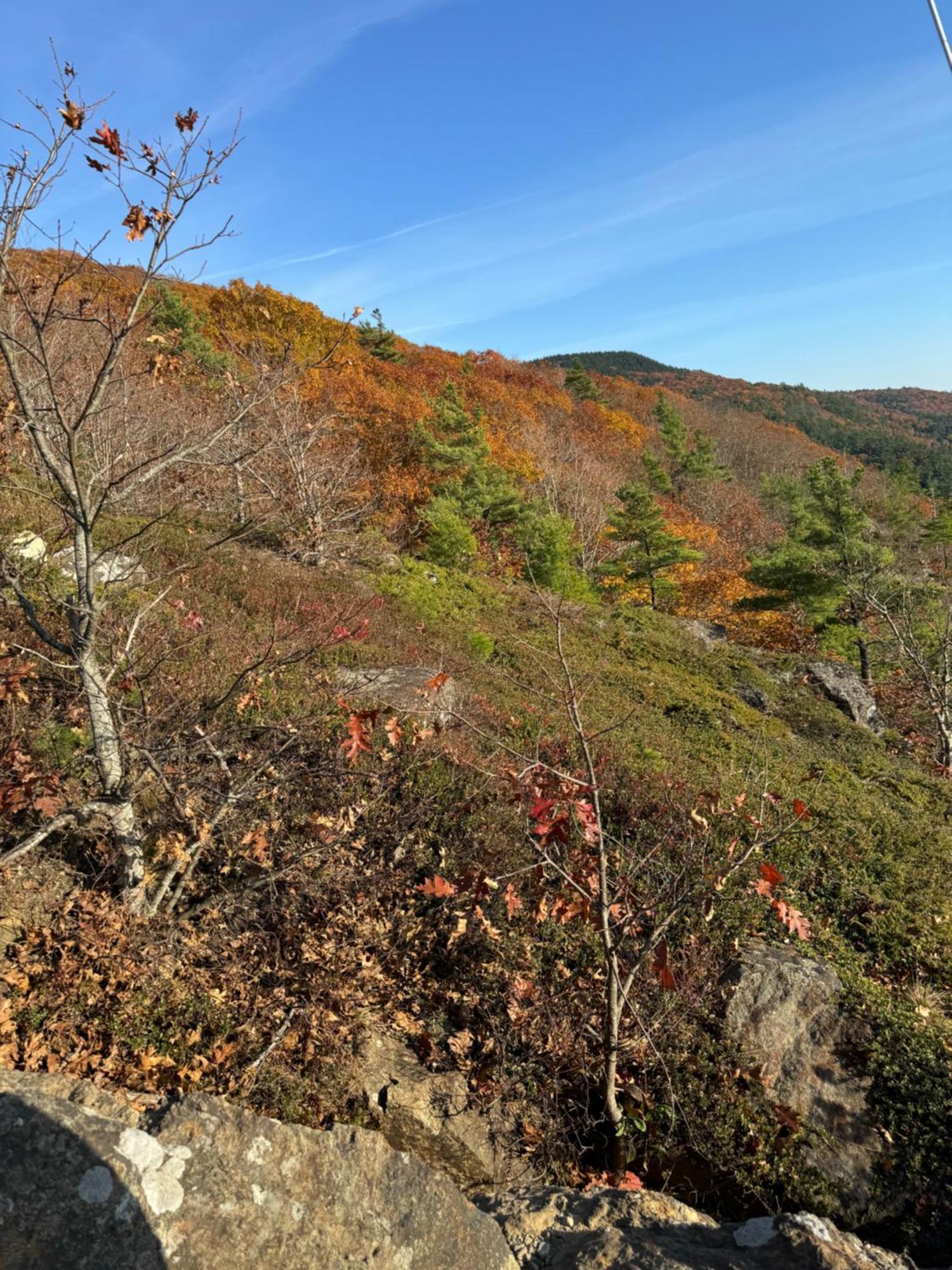 Hideaway Inn Maine 캠던 외부 사진